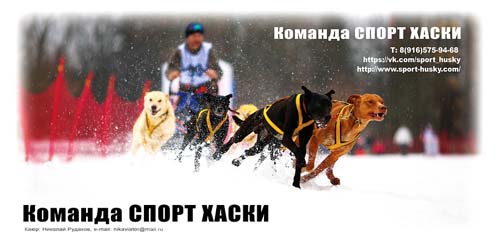 Спорт Хаски
