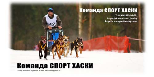 Спорт Хаски