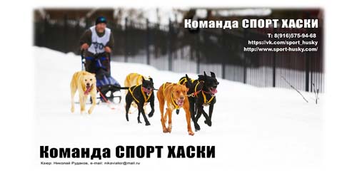 Спорт Хаски