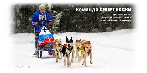 Спорт Хаски