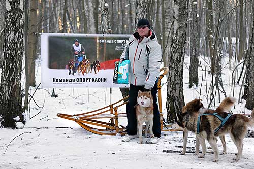 Спорт Хаски