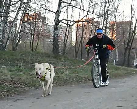 Клуб ЕС Спорт-Хаски